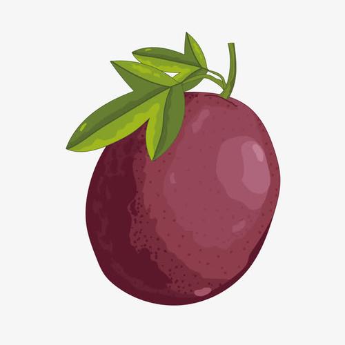 手绘/卡通 卡通元素 > 紫色梅子  收藏 [声明] 觅元素所有素材为用户