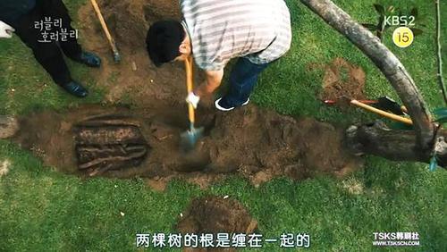 《lovelyhorribly》首播可爱的可怕的随想(二)