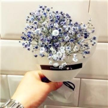 特别可爱的满天星,风景头像图片-回车桌面