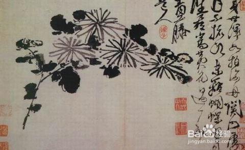 6/10  明徐渭《菊花图》,明代是一个名家辈出的朝代,徐渭也是其中一