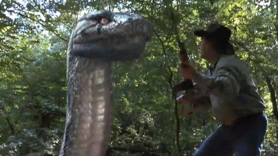 大蛇对大蟒:一群人猎杀大蛇,怎料大蛇聪明的很,一个一个对付