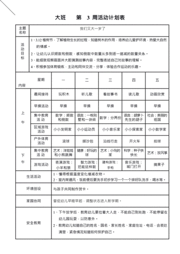 大班周计划表-20210512085735.docx-原创力文档