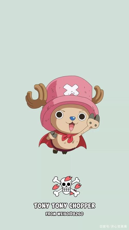 海贼王之乔巴壁纸