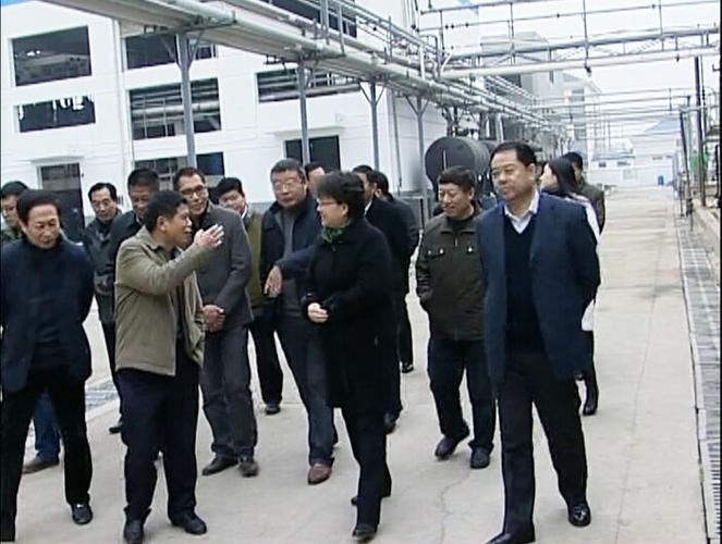 江苏省环保厅厅长一行来我司调研指导