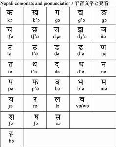 尼泊尔语 -     历史介绍 尼泊尔古代的文学语言形成于14世纪.