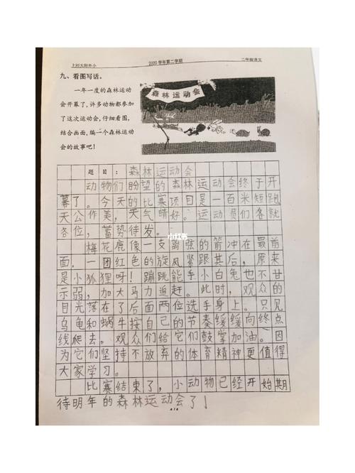 看图写话《森林运动会》_运动会_森林_作文_家有小学生_教育_小学教育
