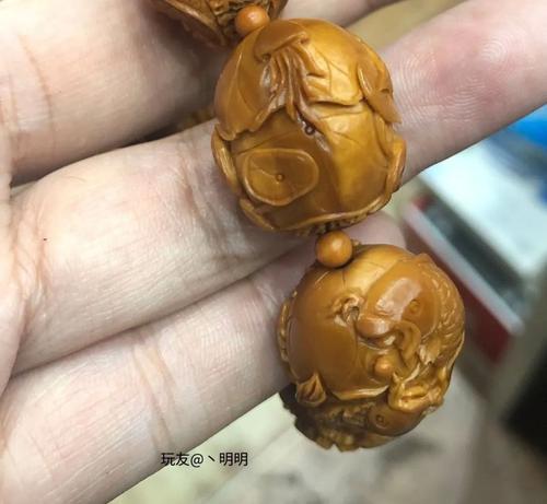 橄榄核的筋线别再认成开裂了