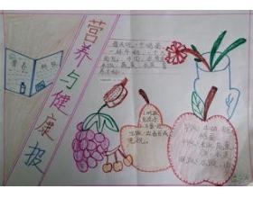 营养与健康手抄报内容.