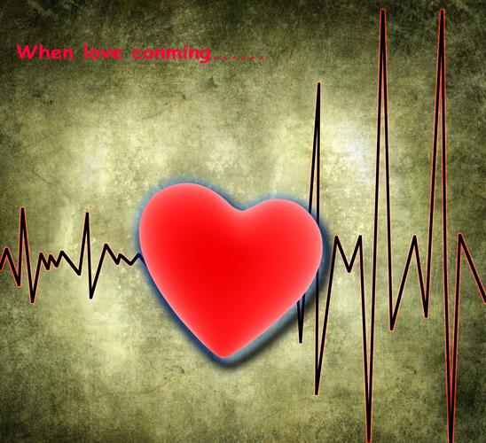 [palpitation] 心脏跳动