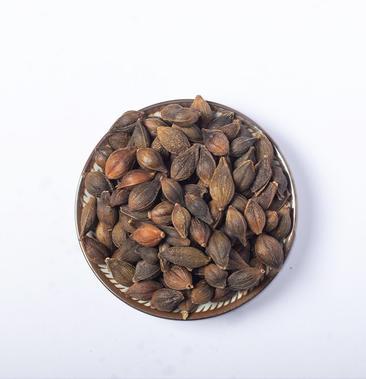 精选连翘500克中药材连翘新货连翘 汉中贯叶连翘中药材连