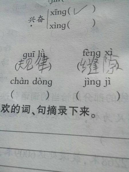 理不胜词的拼音