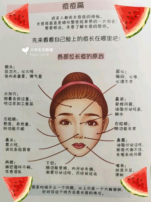 6015这份痘痘攻略一定收藏好6015 脸上不同部位长痘痘的原因