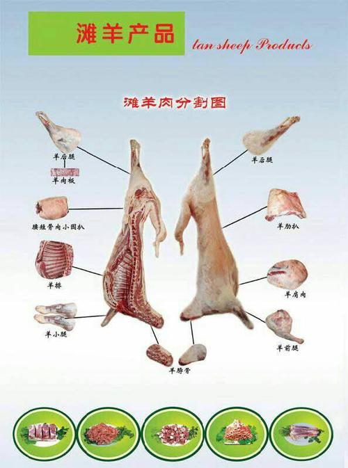 宁夏盐池滩羊肉   分割示意图