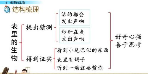 部编版六年级下册语文课文《表里的生物》学习内容全解