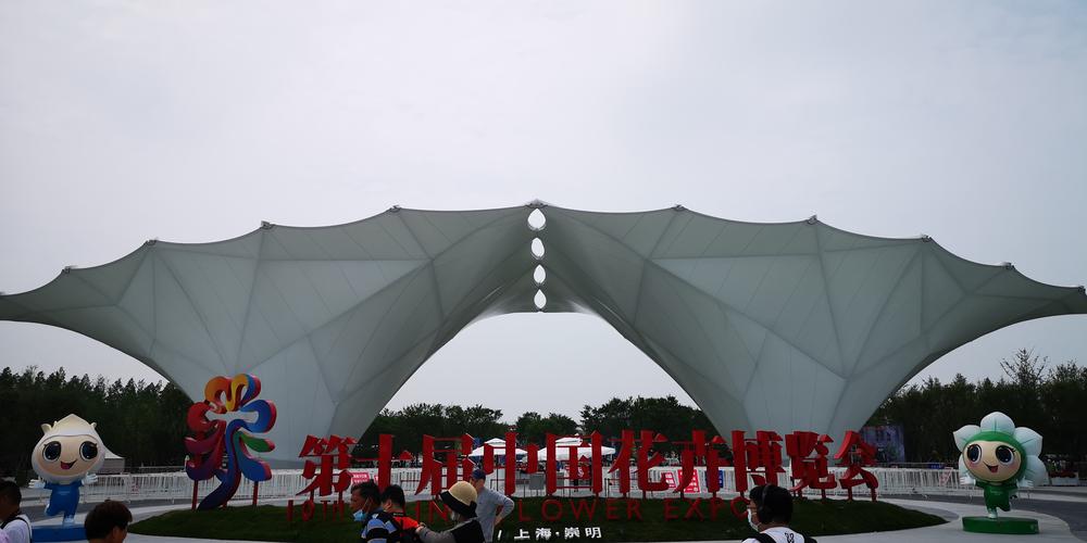游崇明花博会