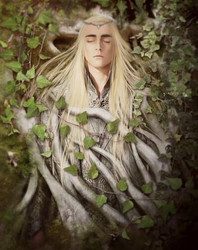 李佩斯 魔戒 霍比特 精灵王