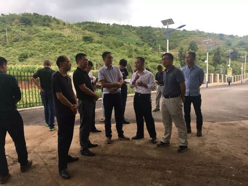 组织部部长张洪军一行到顺丰洱海环保股份—大理洱海生物肥业有限公司