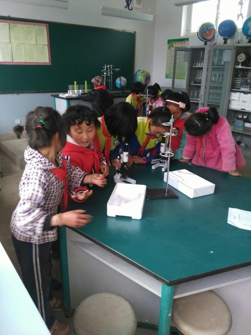 英武小学兴趣小组记实