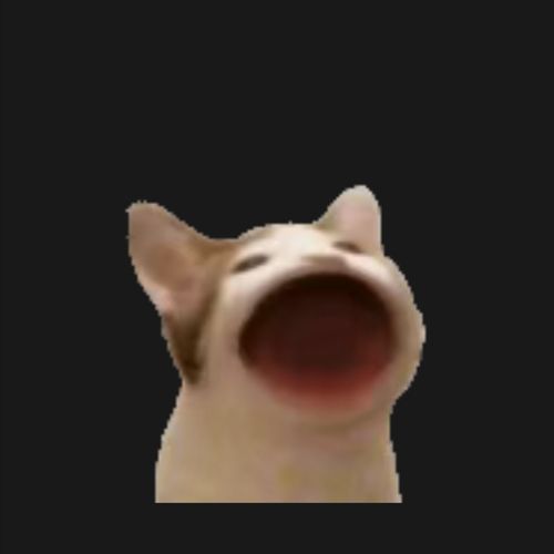 bdjw,pop cat是哪里来的