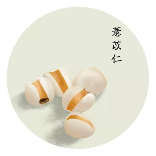 薏苡仁:味甘,淡,性凉.归脾,胃,肺经. 芡莲薏苡排骨汤