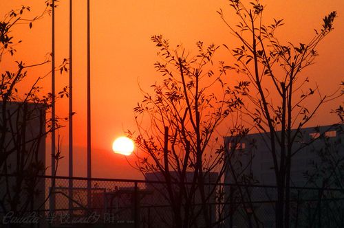 标题:在学校里拍的夕阳