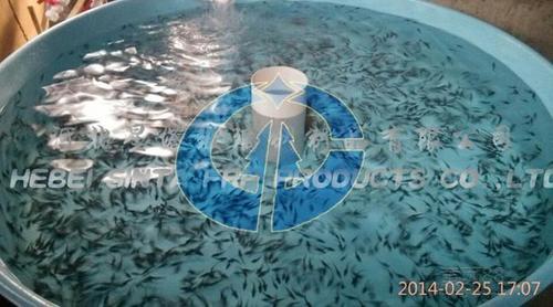 鱼苗孵化池_四大家鱼鱼苗孵化池-河北星塔