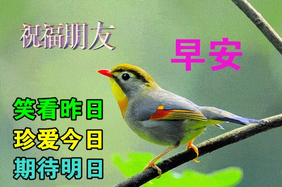 11月5日最漂亮早上好动态表情图片大全,早晨好动图美图大全_祝福