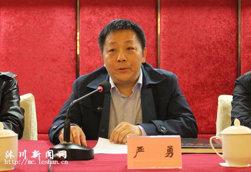 县委常委,常务副县长严勇讲话