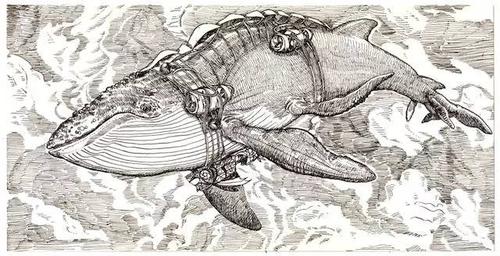 海洋探秘细数神话里与海有关的风云人物