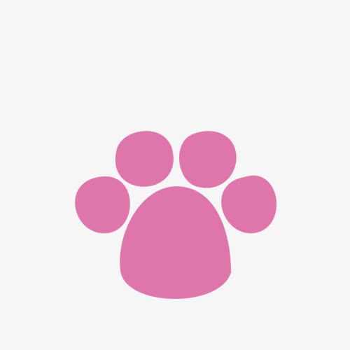 关键词 : 狗印,背景元素,背景图案,装饰图案,脚印