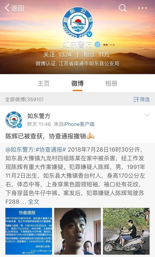 被警方成功抓获27岁的犯罪嫌疑人陈辉当地大豫镇九龙村的一起