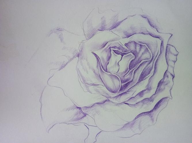 彩铅临摹作品
