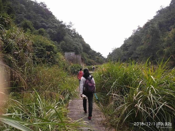徒步者并不多.到达鳝溪终点,准备左拐长田登山步道往鼓岭老街.