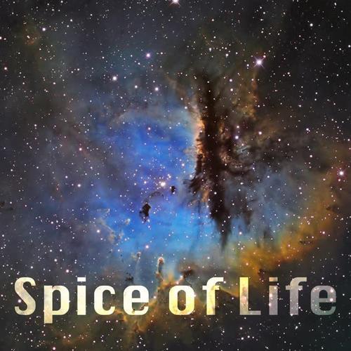 spice of life