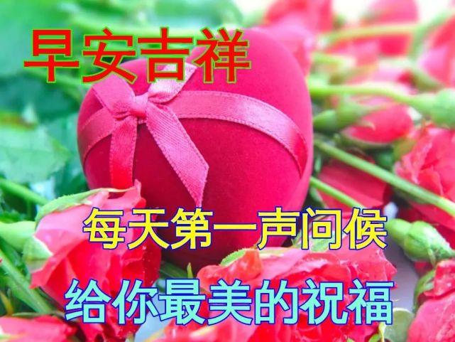 12月9日最漂亮早上好动态表情图片大全,早晨好动