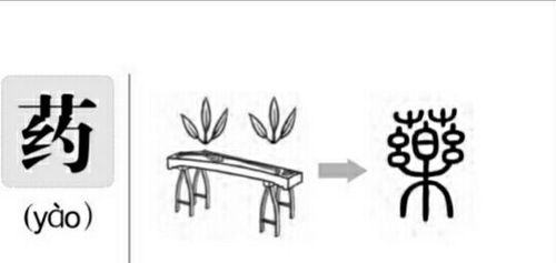 "药"字的造字本义为:快乐的神草,即解除病痛,使人舒服的草木材料.