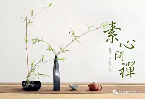 笑着面对,不去埋怨.悠然,随心,随性,随缘.