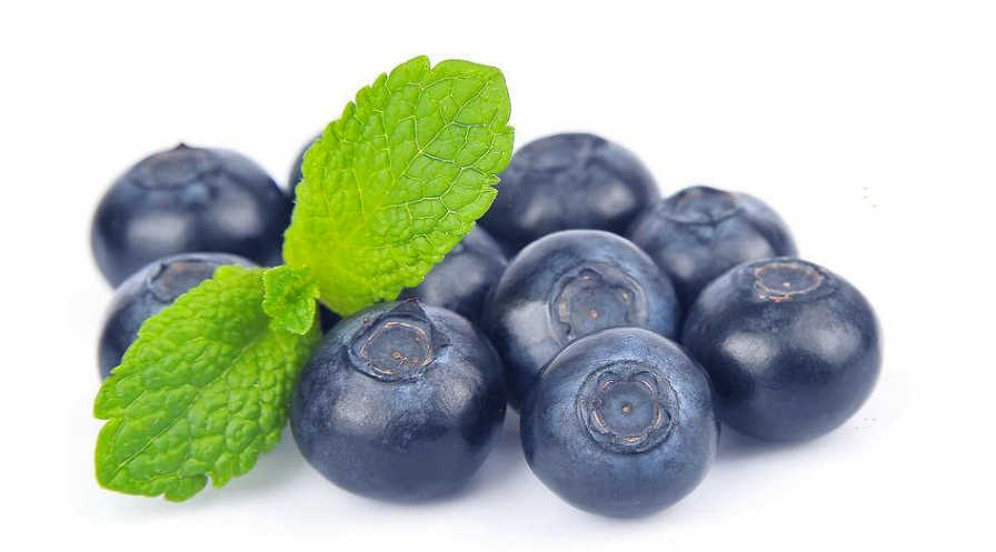 越橘又名欧洲蓝莓_越橘的营养成分有什么_越橘的食用功效_越橘的食用