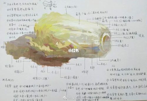 色彩静物单体塑造笔记_艺考_美术_美术艺考_文化_绘画