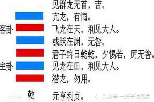 潜龙勿用,阳在下也.见龙在田,德施普也.终日乾乾,反复道也.