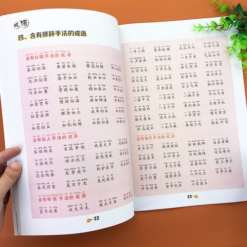 成语大全训练小学生小学归纳年级abacaabcaabb16知识点练习小学教辅