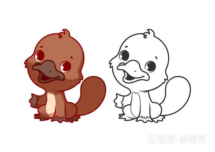 可爱的小鸭嘴兽