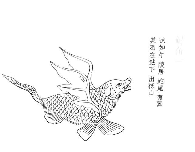 《山海经》鳞介类—鱼坴(lu)鱼