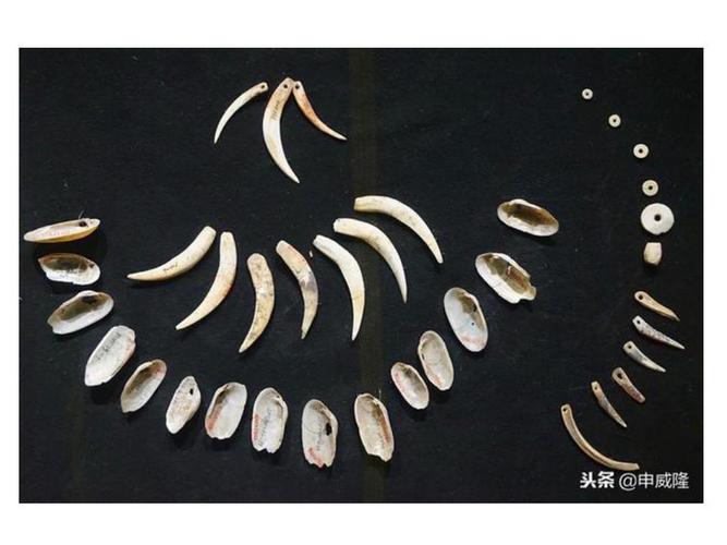 半坡遗址出土的装饰品大约有1900多件 .