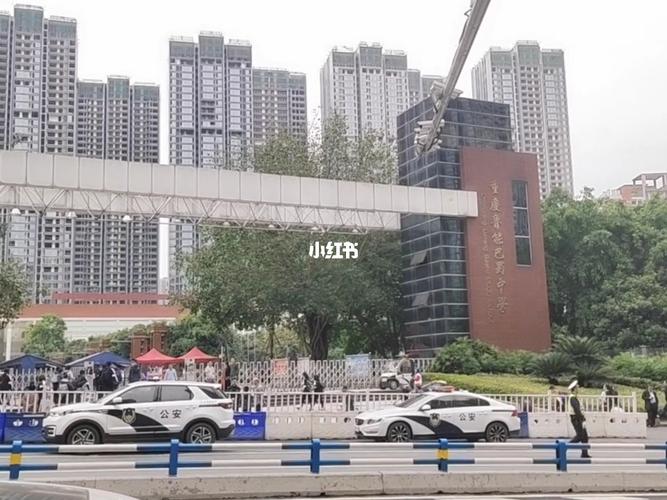 鲁能巴蜀中学_重庆鲁能巴蜀中学_午餐_巴蜀f4_景点_校服_紫色系_土豆