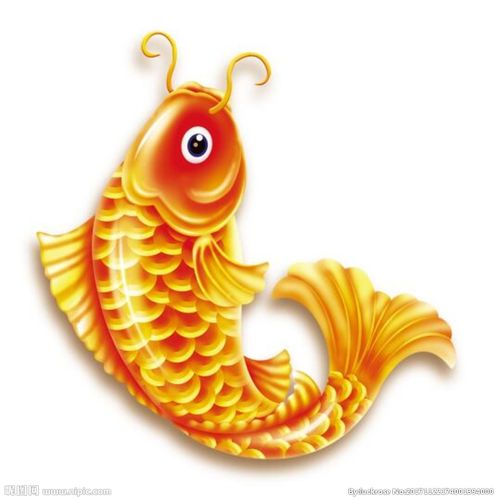 金龙鱼图片