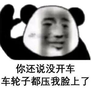 表情包还说没开车车轮子都压我脸上了