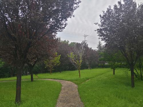 秋天的早晨
