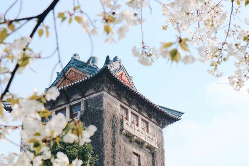 520南京大学的校庆日生日快乐南大