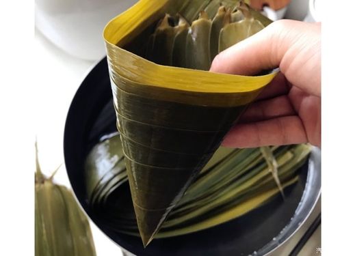 【积分大放送】三角粽子